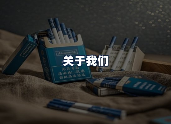 关于我们
